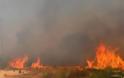 Στάχτη θερμοκήπια και ελιές - Περιορίστηκαν οι φωτιές στη Κρήτη