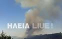 Μπαράζ πυρκαγιών στην Hλεία - Τραυματίστηκε πυροσβέστης