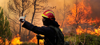 Ύποπτες πυρκαγιές φέρνουν στην Ηλεία την EΥΠ! - Φωτογραφία 1