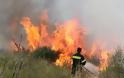 Αχαία - τώρα: Πυρκαγιά κοντά στο χωριό Άρλα - Ισχυροί άνεμοι πνέουν στην περιοχή