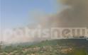 Hλεία: Δύο πυρκαγιές κοντά στο Φραγκαπήδημα έκαψαν 50 στρέμματα!