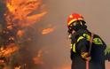 Aχαΐα: Πυρκαγιά σε αγροτοδασική έκταση στην Άρλα