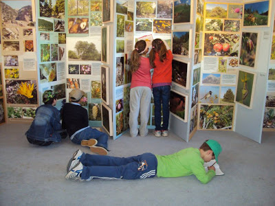 Oλοκληρώθηκε το πρόγραμμα επισκέψεων σχολείων στο Κέντρο Περιβαλλοντικής Πληροφόρησης Παναχαϊκού Όρους - Φωτογραφία 7
