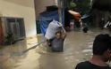 Ινδία: 300 νεκροί και 63.000 παγιδευμένοι από τις πλημμύρες