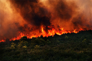 Σε εξέλιξη πυρκαγιά στο Μαρκόπουλο Ωρωπού - Φωτογραφία 1