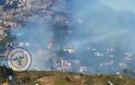 ΣΥΜΒΑΙΝΕΙ ΤΩΡΑ: Φωτιά ξέσπασε πριν λίγο στην Πάρνηθα - Επιχειρεί και ελικόπτερο στο σημείο - Φωτογραφία 2