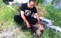 Καστοριά: θηλυκό αρκουδάκι δηλητηριασμένο σε δασική περιοχή