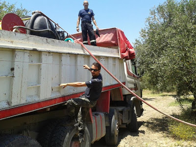 Η φωτιά έσβησε στην Σορωνή Ρόδου - Φωτογραφία 2