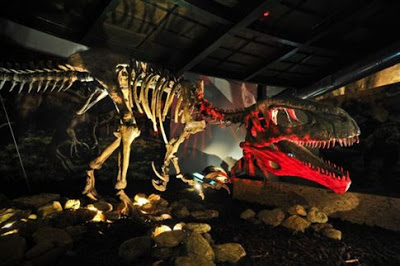 Δεινόσαυροι της Παταγονίας - Μια έκθεση που κόβει την ανάσα - Φωτογραφία 5