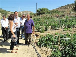 Άποροι καλλιεργούν τον λαχανόκηπο του Δήμου Ηρακλείου - Φωτογραφία 1