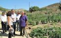Άποροι καλλιεργούν τον λαχανόκηπο του Δήμου Ηρακλείου