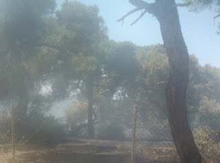 Εξαιρετικά σημαντική η συνδρομή του ΣΠΑΠ στην κατάσβεση της πυρκαγιάς στο Σχοινιά του Μαραθώνα - Φωτογραφία 1