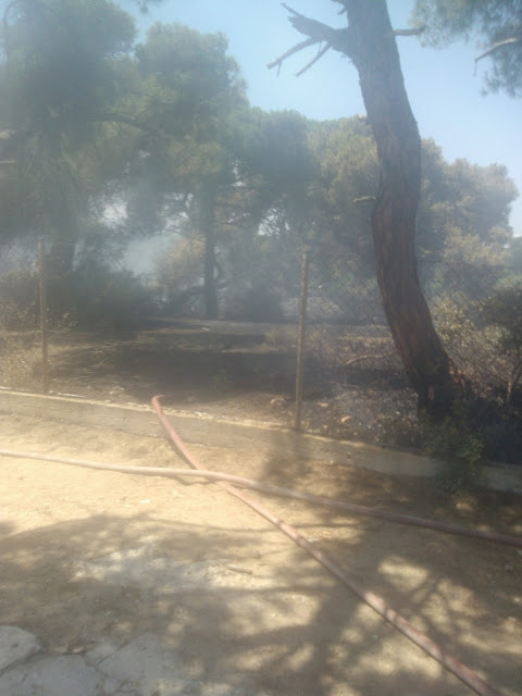 Εξαιρετικά σημαντική η συνδρομή του ΣΠΑΠ στην κατάσβεση της πυρκαγιάς στο Σχοινιά του Μαραθώνα - Φωτογραφία 2