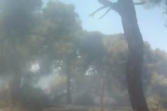 Εξαιρετικά σημαντική η συνδρομή του ΣΠΑΠ στην κατάσβεση της πυρκαγιάς στο Σχοινιά του Μαραθώνα