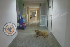 Εικόνες ντροπής στο Γ.Ν.Θ Γ.Παπανικολάου...