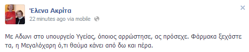 Το καυστικό σχόλιο της Έλενας Ακρίτα για τον Άδωνι Γεωργιάδη - Φωτογραφία 2