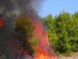 ΣΥΜΒΑΙΝΕΙ ΤΩΡΑ στην Κρήτη:  Φωτιά στα Μεγάλα Χωράφια - Φωτογραφία 1