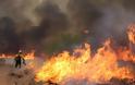 3 φωτιές την ίδια ώρα στα Γιάννινα - Άρχισε ο πύρινος χορός των εμπρησμών