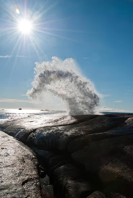 Bicheno Blowhole: Εκπληκτικό φυσικό σιντριβάνι! - Φωτογραφία 2