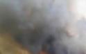Τουλάχιστον 19 πυροσβέστες νεκροί σε φωτιά στην Αριζόνα
