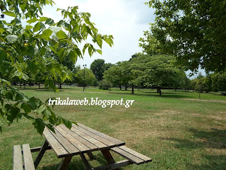 Το πάρκο του Άι Γιώργη στα Τρίκαλα [video] - Φωτογραφία 8