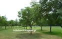 Το πάρκο του Άι Γιώργη στα Τρίκαλα [video] - Φωτογραφία 10