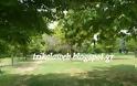 Το πάρκο του Άι Γιώργη στα Τρίκαλα [video] - Φωτογραφία 3