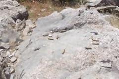 Εδώ έγινε η συμπλοκή κακοποιών-αστυνομικών