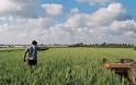 Δυτική Eλλάδα: 52 εκατομμύρια ευρώ για τον εκσυγχρονισμό των γεωργικών εκμεταλλεύσεων