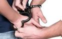 Συνελήφθη αλβανός βοσκός για σωρεία εγκλημάτων