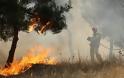 Αχαΐα: Φωτιά σε αγροτοδασική περιοχή κοντά στον «Ιπποκάμηλο»