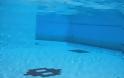 Αγρίνιο: 13χρονος παραλίγο να πνιγεί σε πισίνα - Νοσηλεύεται στo Νοσοκομείο του Ρίου