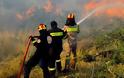 Εκατοντάδες στρέμματα καίγονται στο Λασίθι - Συνεχίζεται η μάχη των πυροσβεστών