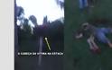 ΣΟΚ στην Βραζιλία: Διαιτητής μαχαίρωσε ποδοσφαιριστή και οι φίλοι του τεμάχισαν τον διαιτητή - [φρικιαστικές εικόνες] - Φωτογραφία 2