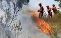 Μεγάλη η καταστροφή από την πυρκαγιά στο Λασίθι - 230 στρέμματα γης έγιναν στάχτη