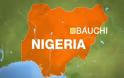 Νιγηρία: Δεκάδες νεκροί από επίθεση σε σχολείο