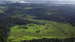Βραζιλία: Επιταχύνεται η αποψίλωση του Αμαζονίου - Φωτογραφία 1