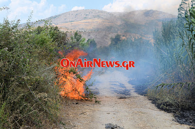 Φωτιά στο Μεσολόγγι - Φωτογραφία 2