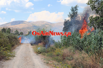 Φωτιά στο Μεσολόγγι - Φωτογραφία 5