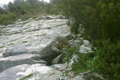 Σκόπελος: Βρέθηκε ο 4ος τάφος στα σεντούκια με χρυσό;