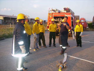 Ίδρυση Εθελοντικού Σώματος Ελλήνων Πυροσβεστών Αναδασωτών (ΕΣΕΠΑ) στον Δήμο Λαγκαδά - Φωτογραφία 1