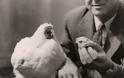 Η εντυπωσιακή αληθινή ιστορία του ακέφαλου κόκκορα! - Φωτογραφία 2