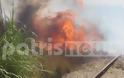 Πύργος: Φωτιά απειλεί σπίτια στο Καβούρι!