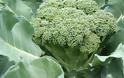«Οπαδός» του μπρόκολου ο Μπαράκ Ομπάμα
