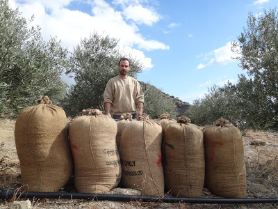 Στην Ταιβάν κάνουν μασάζ ... με κρητικό ελαιόλαδο! [video] - Φωτογραφία 2