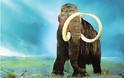 ΑΠΙΣΤΕΥΤΕΣ ΕΙΚΟΝΕΣ: Βρέθηκε ανέπαφο θηλυκό μαμούθ… 39.000 ετών!!!