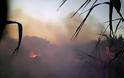 Μεγάλη πυρκαγιά σε χαράδρα στη Κρήτη