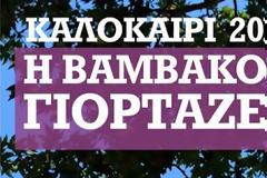 21 Ιουλίου - 18 Αυγούστου 2013: Η Βαμβακού Γιορτάζει!