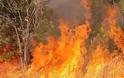 Σε εξέλιξη μεγάλη φωτιά στην Κάντανο - Επιχειρούν επίγειες και εναέριες δυνάμεις της πυροσβεστικής