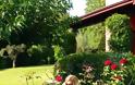 Στον κήπο με... μπικίνι η Kωσταντίνα Σπυροπούλου - Φωτογραφία 3